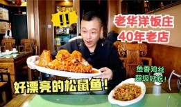 小老饭庄老板爆料视频在线观看,揭秘后厨秘密与美食传奇